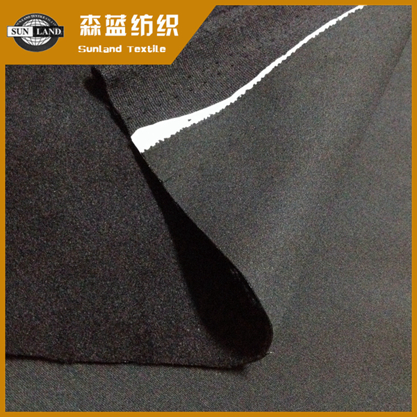 張家港30DTPU貼膜搖粒絨 30D interlock TPU bond polar fleece